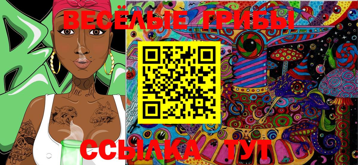 Обь  Галлюциногенные грибы Psilocybe  Вход с VPN 